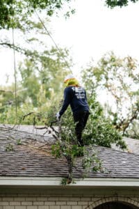 Call a professional, Protect roofs and fences, Crown gap smoothing by S&P Tree Service.