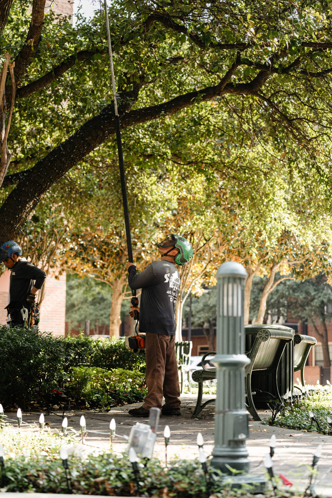 Sidewalk canopy lift for clear walkable streets by S&P Tree Service.
