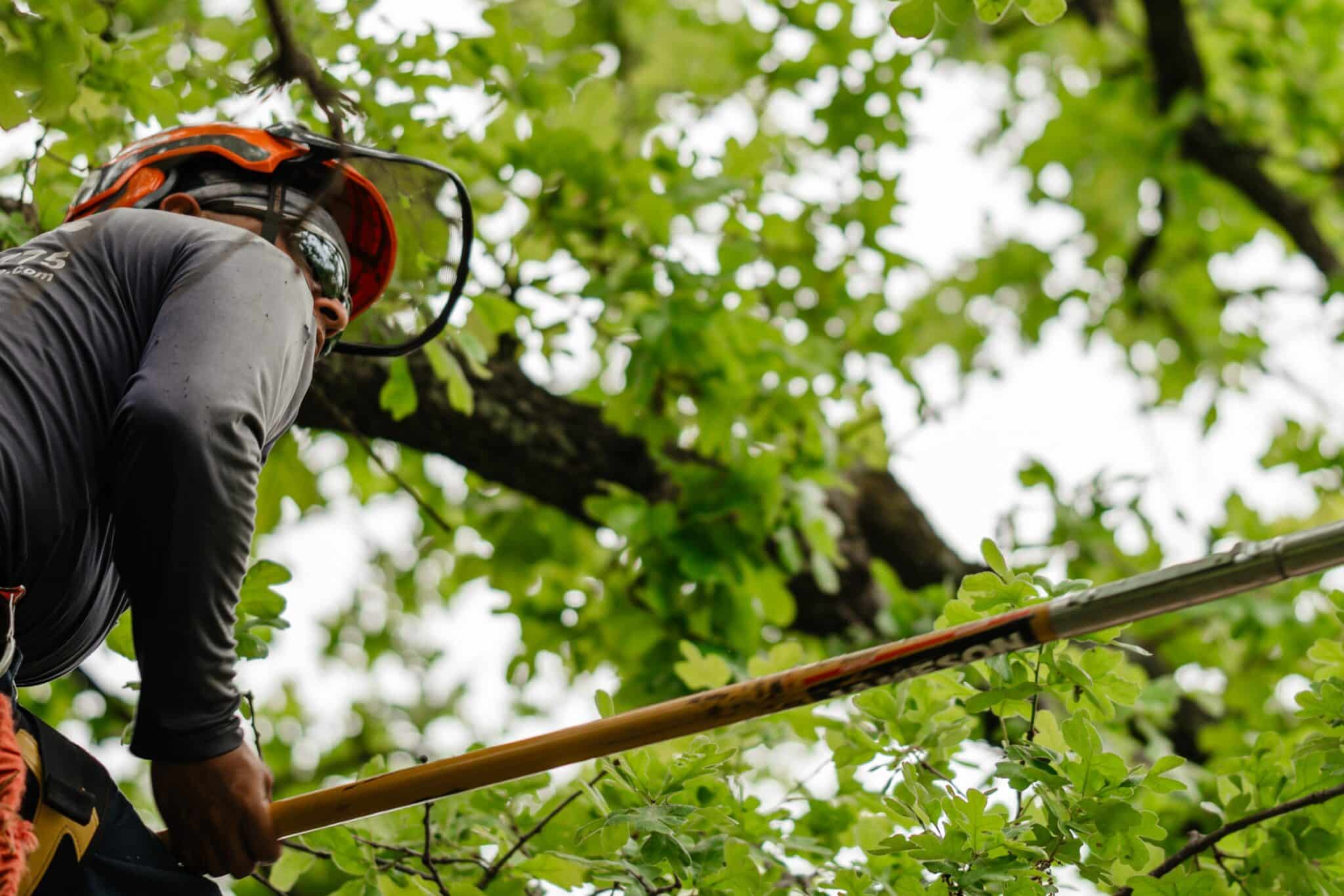 Balanced canopy sync for even light distribution.