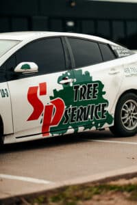 Call a professional, Tree service, Sidewalk canopy lift by S&P Tree Service.