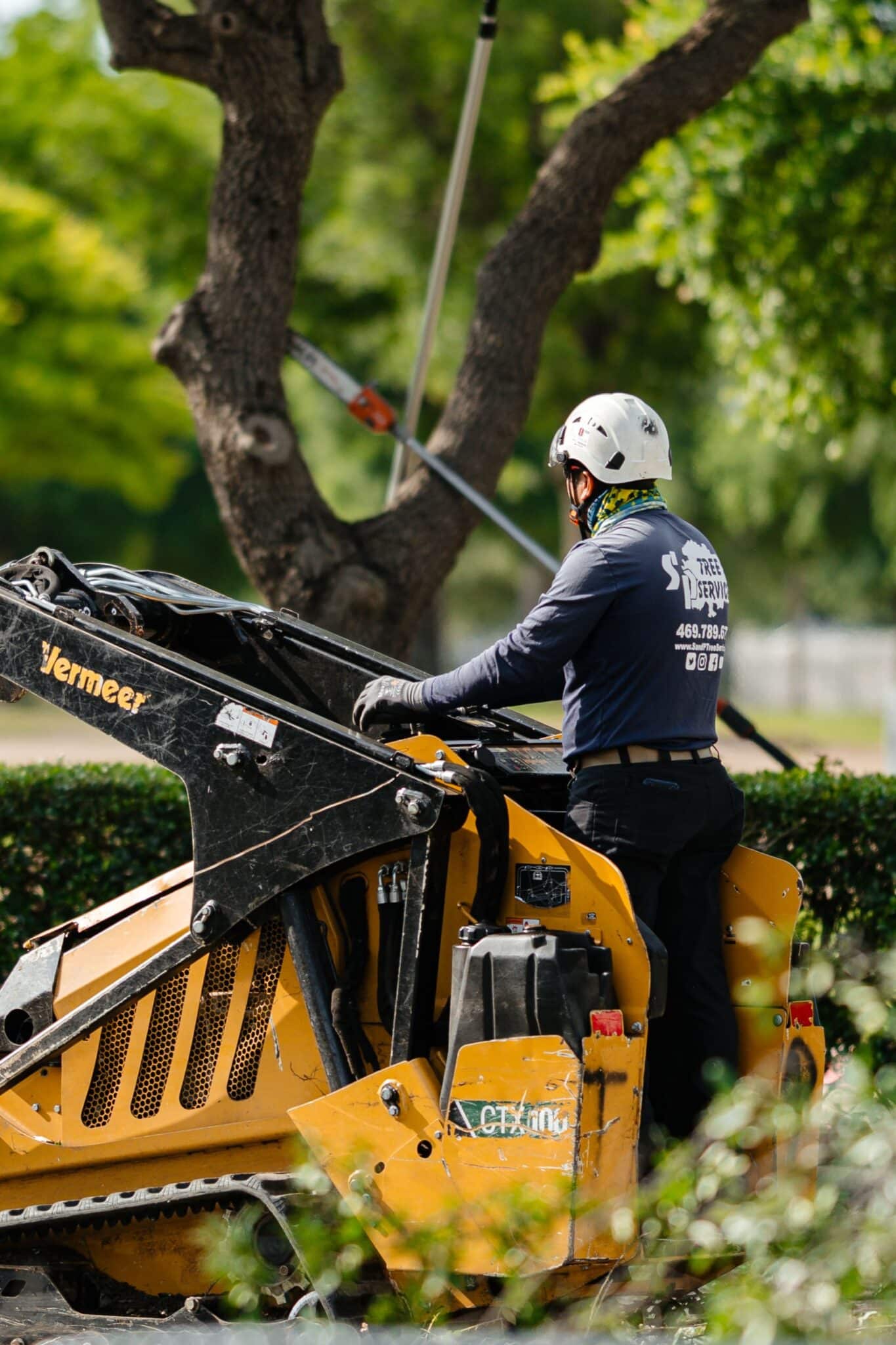 Pedestrian Clearance Prune for Clear Pathways.