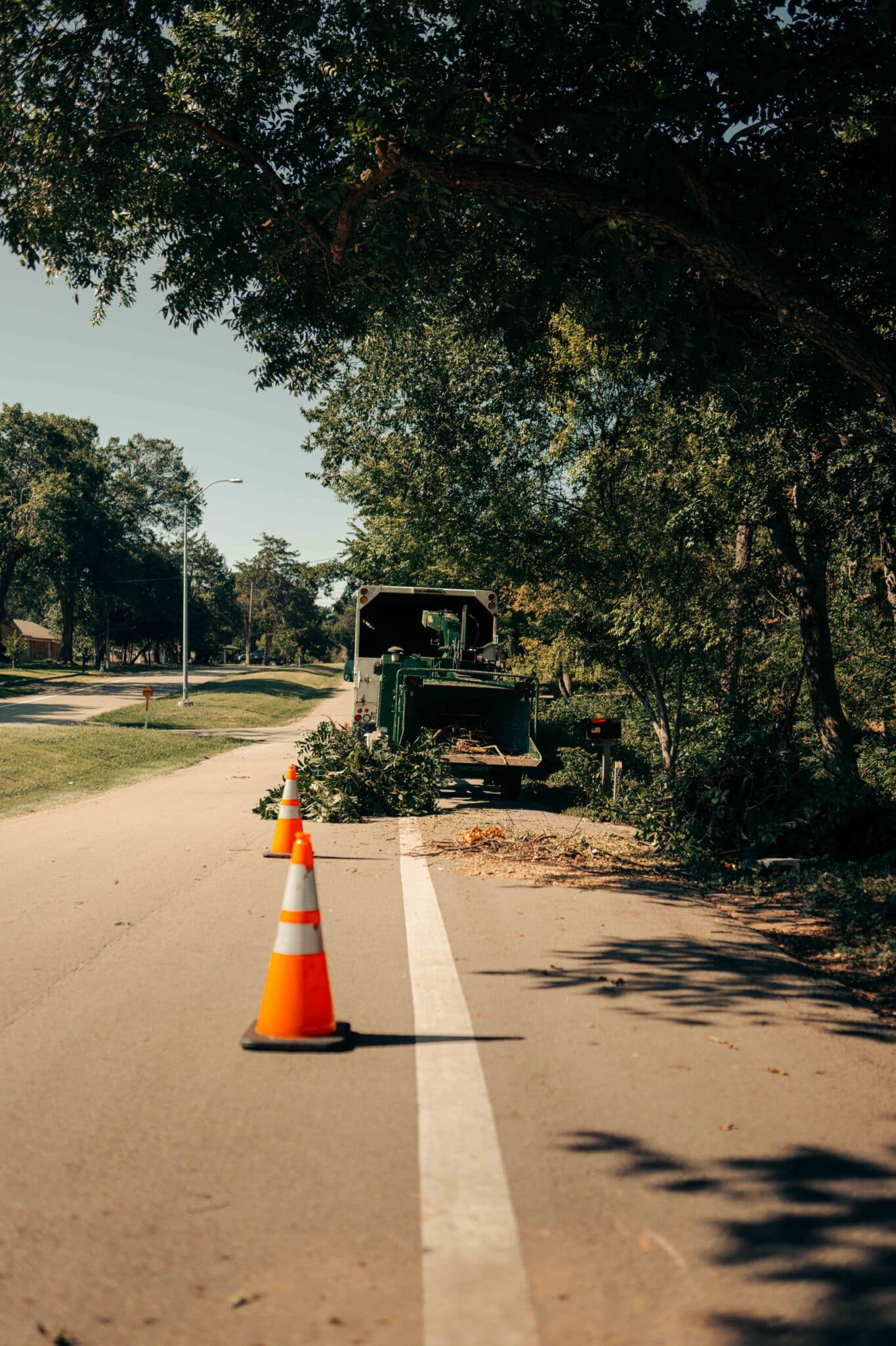 Hazard Canopy Framing for Safer Driveways in Fort Worth by S&P Tree Service.